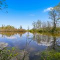 Slider image thumbail number 25