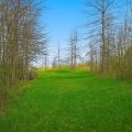 Slider image thumbail number 6