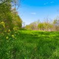 Slider image thumbail number 9