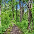 Slider image thumbail number 27