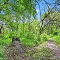 Slider image thumbail number 28