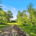 Slider image thumbail number 30