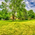 Slider image thumbail number 3