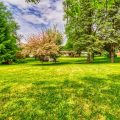 Slider image thumbail number 35