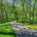 Slider image thumbail number 34