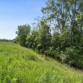 Slider image thumbail number 15