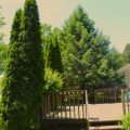 Slider image thumbail number 5