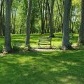 Slider image thumbail number 13