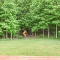 Slider image thumbail number 4