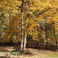 Slider image thumbail number 48