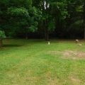 Slider image thumbail number 4