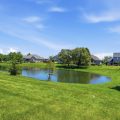 Slider image thumbail number 35