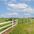 Slider image thumbail number 21