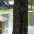 Slider image thumbail number 4