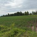 Slider image thumbail number 2