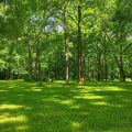 Slider image thumbail number 41