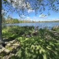 Slider image thumbail number 14