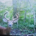Slider image thumbail number 34