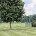 Slider image thumbail number 38