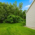 Slider image thumbail number 40