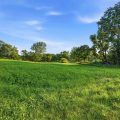 Slider image thumbail number 20