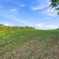 Slider image thumbail number 22