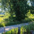 Slider image thumbail number 13