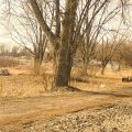 Slider image thumbail number 15