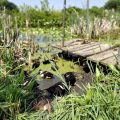 Slider image thumbail number 8