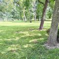 Slider image thumbail number 8