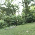 Slider image thumbail number 3