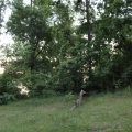 Slider image thumbail number 4