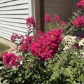 Slider image thumbail number 3