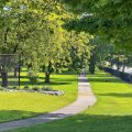 Slider image thumbail number 46