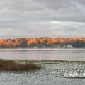 Slider image thumbail number 48