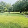 Slider image thumbail number 4