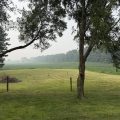 Slider image thumbail number 39