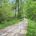 Slider image thumbail number 42
