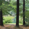 Slider image thumbail number 28