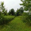 Slider image thumbail number 17