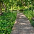 Slider image thumbail number 27