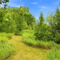 Slider image thumbail number 18