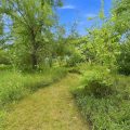 Slider image thumbail number 24