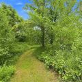 Slider image thumbail number 25