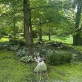 Slider image thumbail number 5