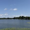 Slider image thumbail number 21