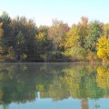 Slider image thumbail number 32