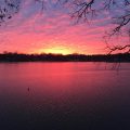 Slider image thumbail number 35