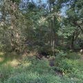 Slider image thumbail number 6