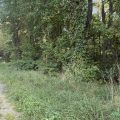 Slider image thumbail number 3
